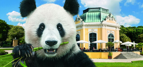 Panda und Pavillon