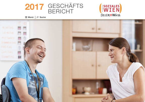 FSW Geschäftsbericht 2017