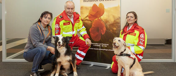 Therapiebegleithunde des ASB | FSW Therapiebegleithunde des ASB