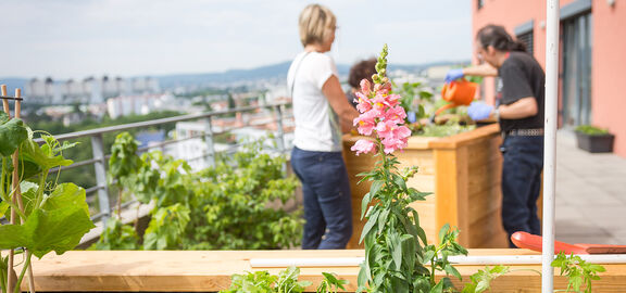 Betreutes Wohnen Kabelwerk